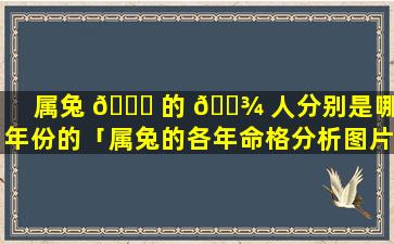 属兔 🐈 的 🌾 人分别是哪些年份的「属兔的各年命格分析图片」